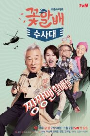 Flower Grandpa Investigative Team (2014) Korean Drama