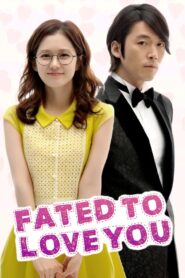 Fated to Love You (2014) Korean Drama