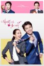 Divorce Lawyer in Love (2015) Korean Drama