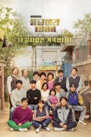 Reply 1988 (2015) Korean Drama