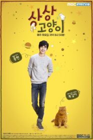 Imaginary Cat (2015) Korean Drama
