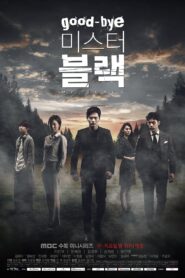 Goodbye Mr. Black (2016) Korean Drama