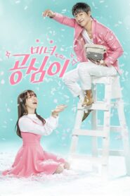 Beautiful Gong Shim (2016) Korean Drama