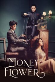Money Flower (2017) Korean Drama