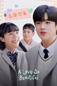 A Love So Beautiful (2020) Korean Drama