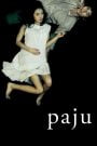 Paju (2009) Korean Movie