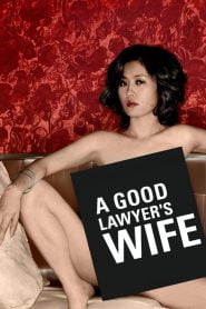 A Good Lawyers Wife (2003) Korean Movie