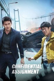 Confidential Assignment (2017) Korean Movie