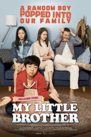 My Little Brother (2017) Korean Movie