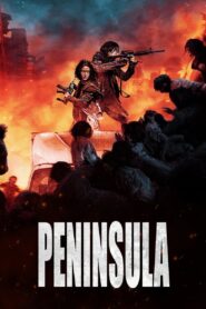 Peninsula (2020) Korean Movie