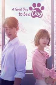 A Good Day to be a Dog (2023) Korean Drama