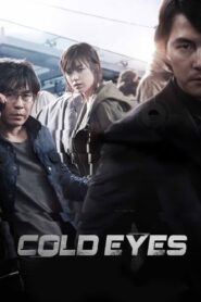 Cold Eyes (2013) Korean Movie