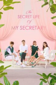 The Secret Life of My Secretary (2019) Korean Drama