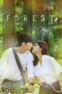 Forest (2020) Korean Drama