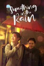Something in the Rain (2018) Korean Drama