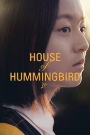 House of Hummingbird (2019) Korean Movie
