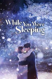 While You Were Sleeping (2017) Korean Drama