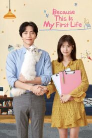 Because This Is My First Life (2017) Korean Drama