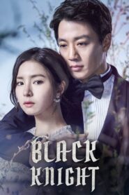 Black Knight (2017) Korean Drama