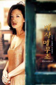 Kiss Me Much (2001) Korean Movie