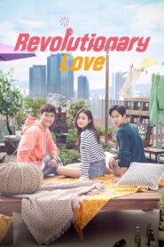 Revolutionary Love (2017) Korean Drama