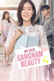 My ID is Gangnam Beauty (2018) Hindi Dubbed