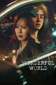Wonderful World (2024) Korean Drama