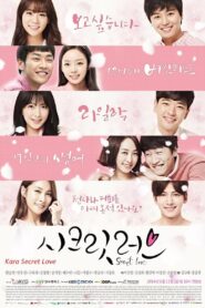 Secret Love (2014) Korean Drama