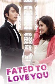 Fated to Love You (2014) Hindi Dubbed