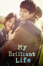 My Brilliant Life (2014) Korean Movie