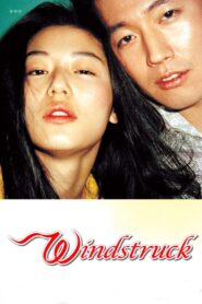 Windstruck (2004) Korean Movie