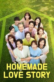 Homemade Love Story (2020) Korean Drama