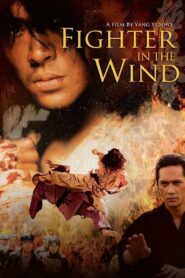 Fighter in the Wind (2004) Korean Movie