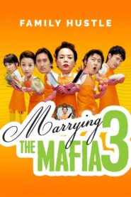 Marrying The Mafia 3: Family Hustle (2006) Korean Movie