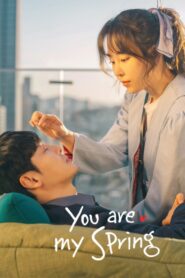 You Are My Spring (2021) English Korean Drama