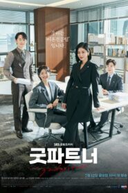 Good Partner (2024) Korean Drama