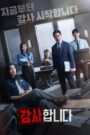 The Auditors (2024) Korean Drama