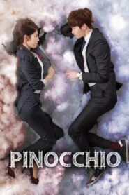 Pinocchio (2014) Hindi Dubbed Drama
